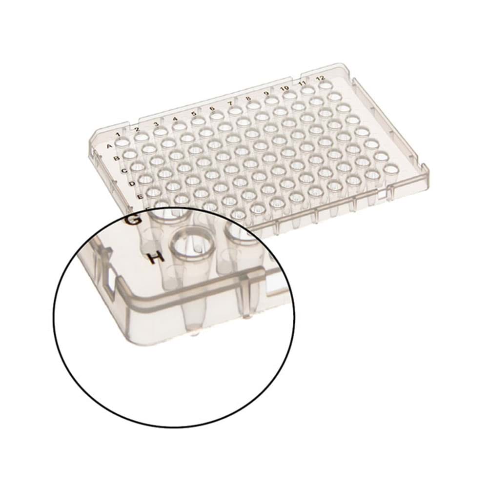 Picture of AmpliStar-II Semi-Skirted, Raised Rim, Low Profile (FAST-type) 96-well PCR Plate - 10x10